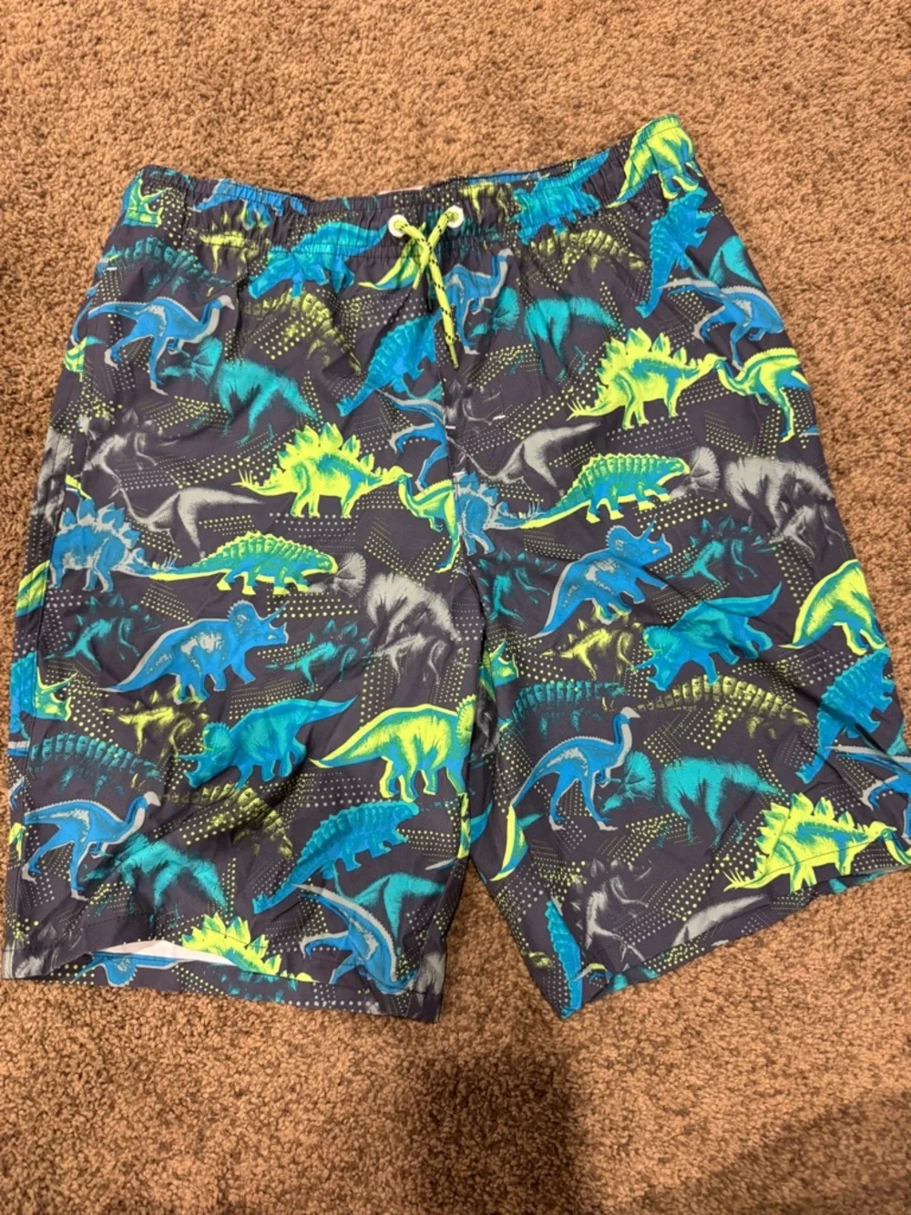 wonder nation Boys' Swim Trunks - Navy, Bright Blue & Neon Green Dino Print